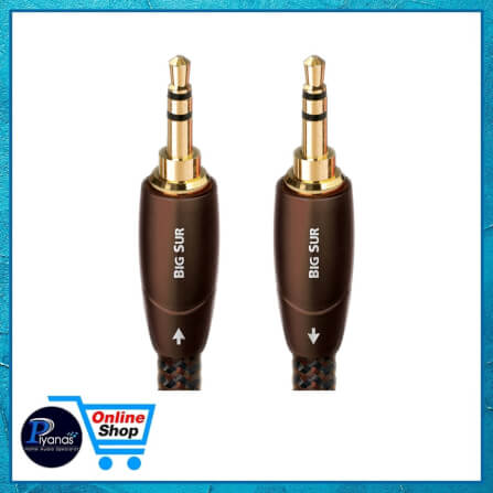 สายสัญญาณอนาล็อก AUDIOQUEST : BIG SUR (MINI TO MINI) (2.0M)_2